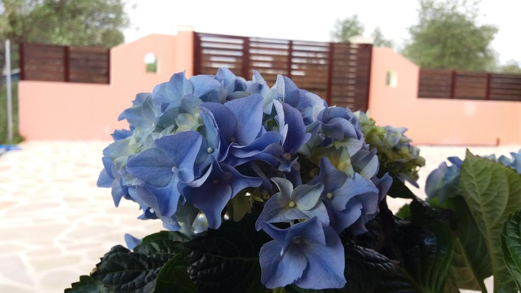 Amaryllis Boutique Apartments Мораїтика Екстер'єр фото